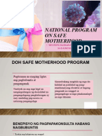 1 National Program On Safe Motherhood
