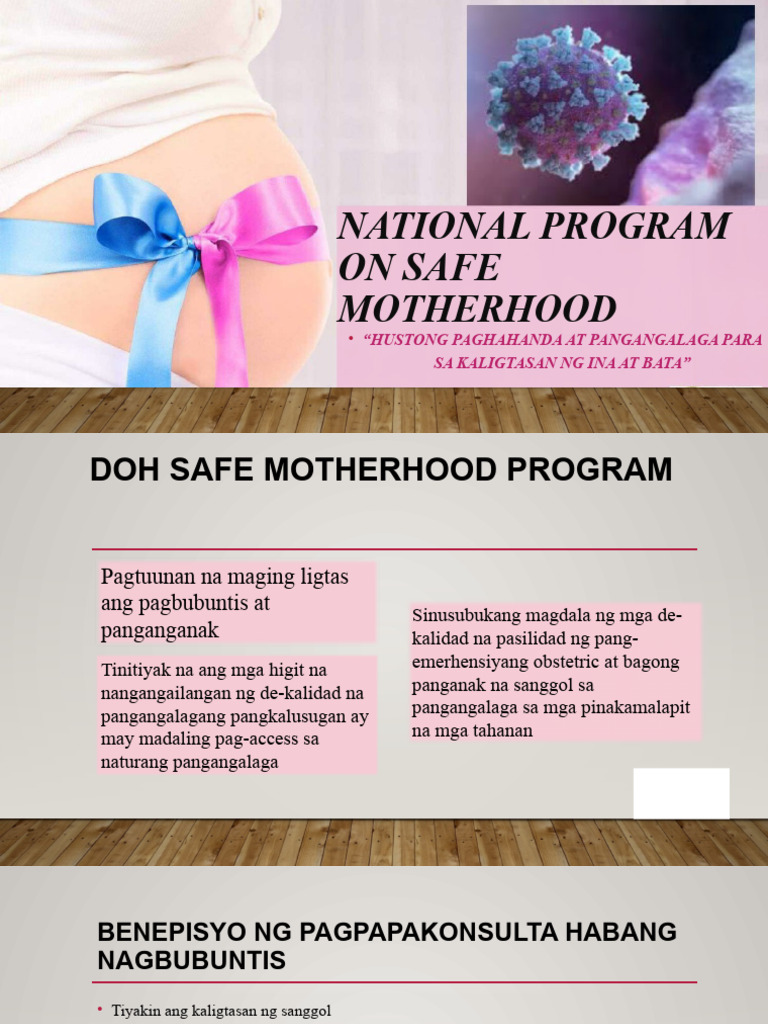 1 National Program On Safe Motherhood | PDF