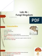 Fungi Lab 6