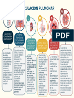 Circulacion Pulmonar Grupo #1