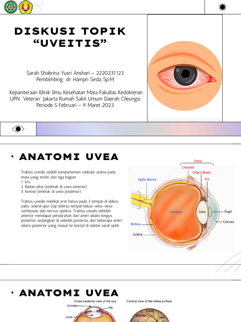 Anatomi dan Uveitis pada Mata | PDF