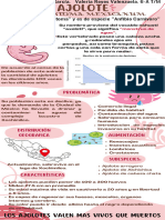 Infografía de Ajolote