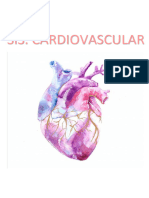 ARTI III - 3 Resumen de Cardio Completo - Alberca