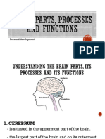 Brain Parts, Process, and Functions