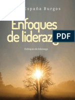 Enfoques de Liderazgo