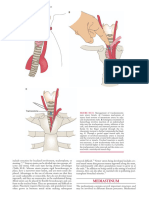 Part Two: Surgical Practice A B: Mediastinum