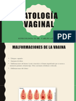 Patología Vaginal