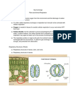 Biology - Gas Exchange