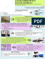 Infografía Del Procesamiento Histológico