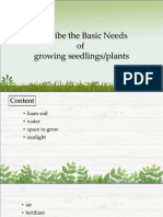 1.2. Describe The Basic Needs of Growing Seedlings