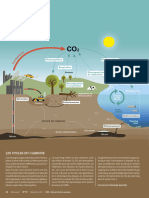 Arbre Infographie 73