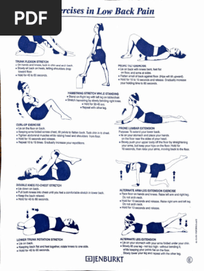 Exrx leg extension shop