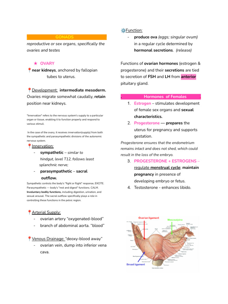 SCIENCE Reviewer | PDF | Menstrual Cycle | Luteinizing Hormone