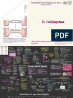 Tarea de Cicatrización - AdrianaRMirón - 3605