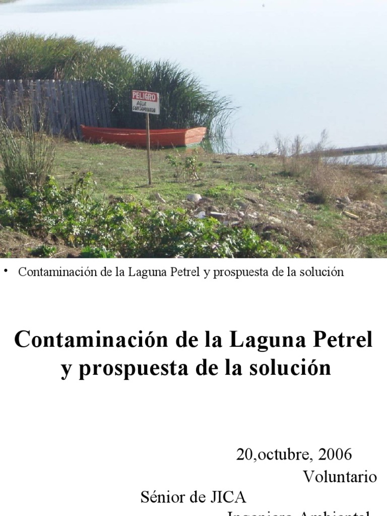Soluciones para la Contaminación de Laguna Petrel | PDF | Mercurio ...