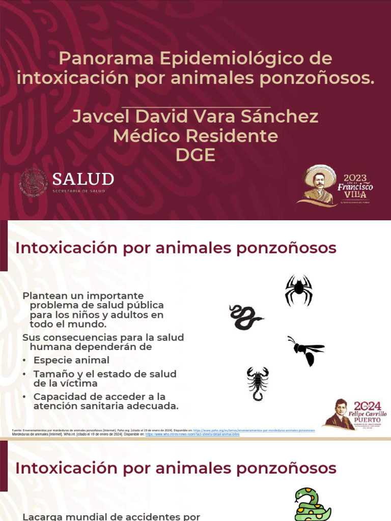 panorama-epidemiol-gico-de-intoxicaci-n-por-animales-ponzo-osos-javcel