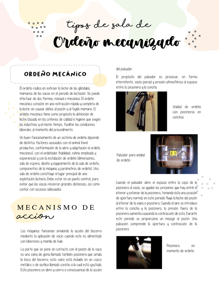 Tipos de Ordeño Mecánico y Manual | PDF | Vacas | Leche