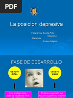 Posicion Depresiva
