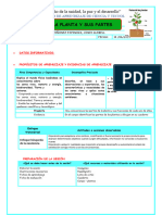 ACTIVIDAD DE APRENDIZAE Las Plantas