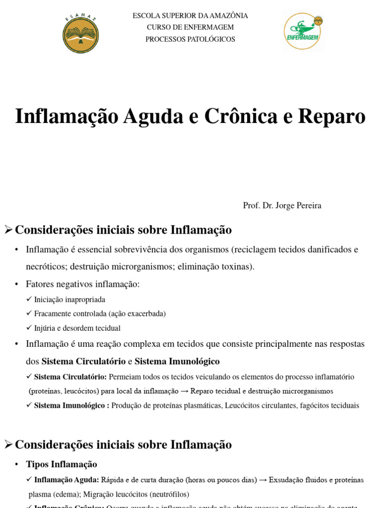Aula 03 - Inflamação Aguda e Crônica e Reparo | PDF | Inflamação ...