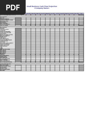 Small Business Cash Flow Projection