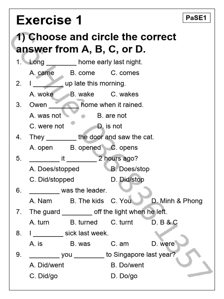 Past Simple - Exercise 1 | PDF