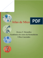 Atlas de Micologia