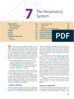 The Respiratory System - Tran Loan