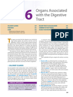 Organs Associated With The Digestive Tract - Tran Loan