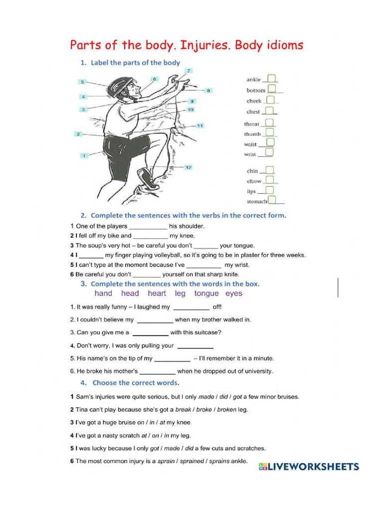 6 A | PDF