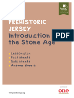 Introduction To The Stone Age