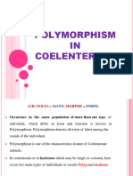 Polymorphism in Coelenterates