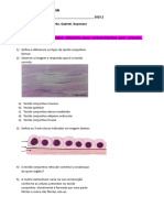 RevisÃ£o tecidos histologia