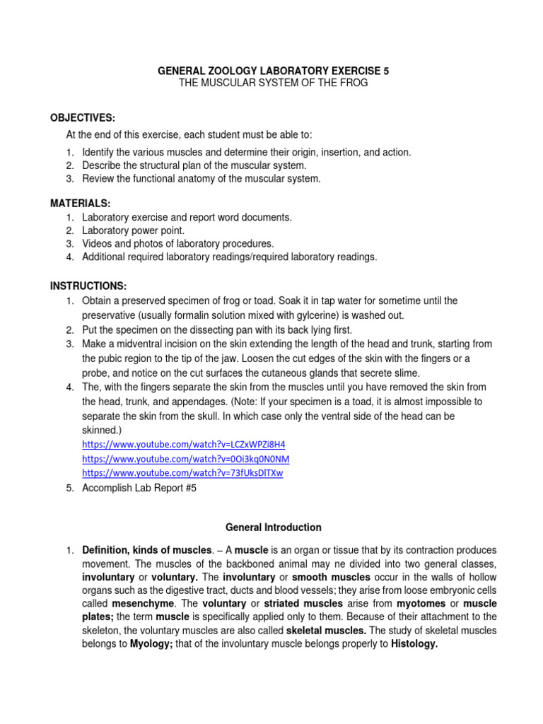 General Zoology Muscular System of The Frog - Notes | PDF | Foot | Abdomen