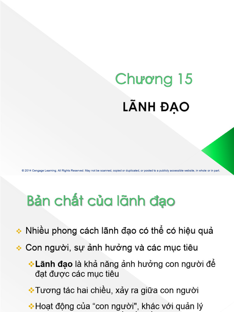 Daft11ePPT Ch15 | PDF