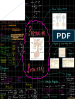 Posterior Pituitary