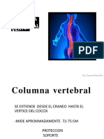 3 Columna Vertebral PDF