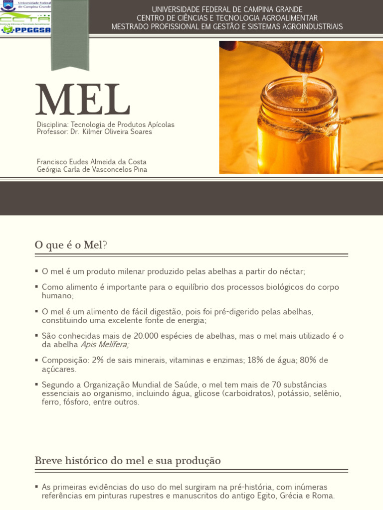 Benefícios e Produção do Mel | PDF | Mel | Abelhas