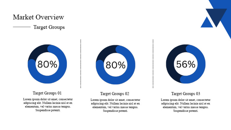 Market Overview: Target Groups | PDF | Business