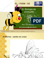 Biologia Da Produção