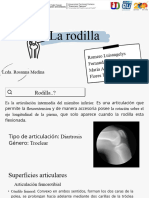 La Rodilla Este Si Es El Final