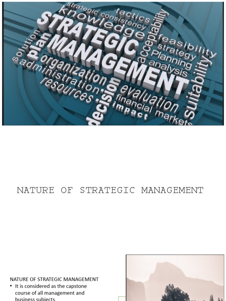 My Report On SM | PDF | Strategic Management | Strategic Planning