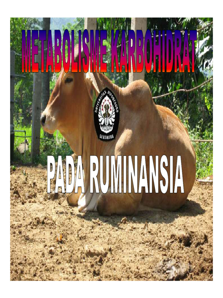 Metabolisme Karbohidrat pada Ruminansia | PDF | Adenosine Triphosphate ...
