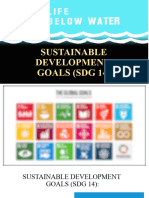 SDG 14