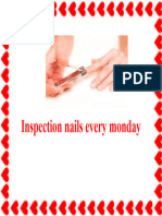 Inspection Nails Every Monday