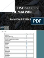 Trash Fish of Malvan ID Guide Final 10-04-21