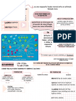 Resumenes Fisiopato