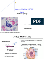 4 Cytology PDF