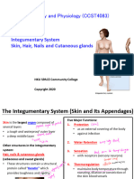 7 Integumentary System PDF