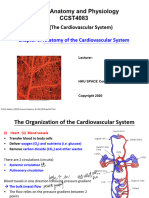 9 Anatomy of The Cardiovascular System PDF